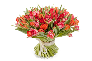 Букет 101 тюльпан, красно-розовые