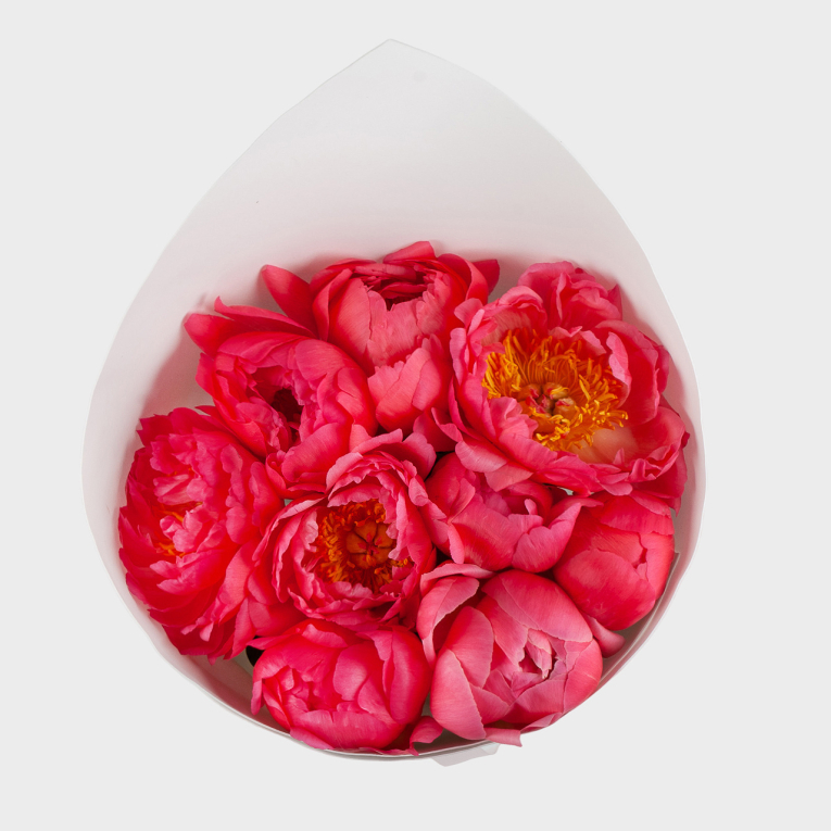 Букет из 9 пионов Огонь любви