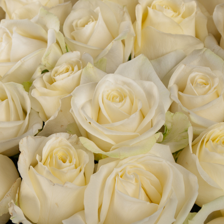 Композиция из роз Облако в корзине