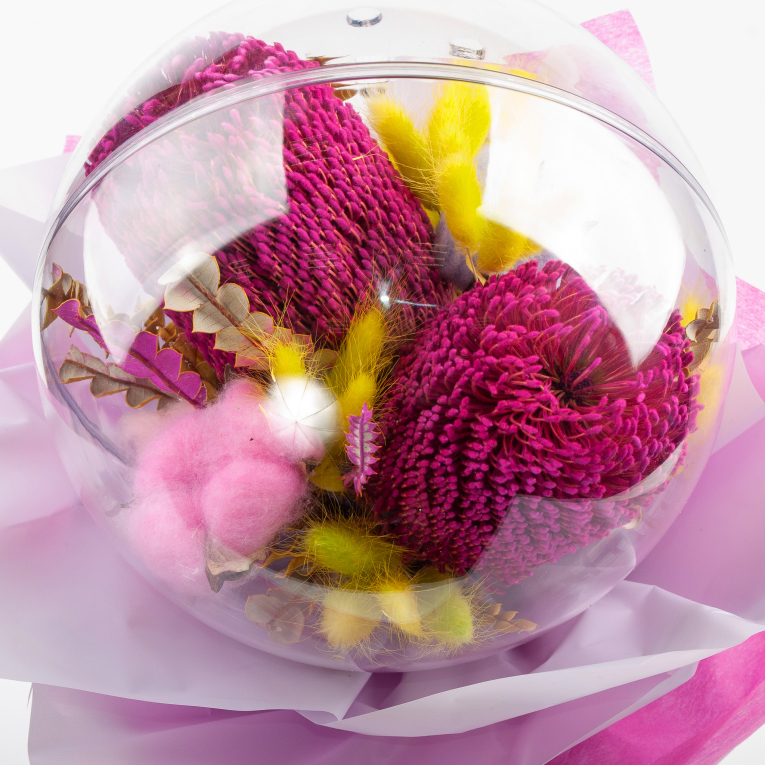 Композиция Марсианин