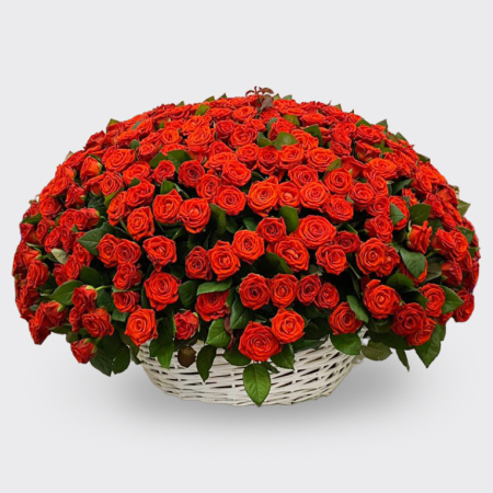 Корзина роз 501 причина любить