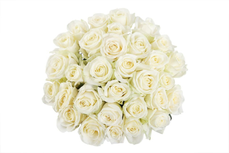 Букет 41 роза Аваланш 60/70 см