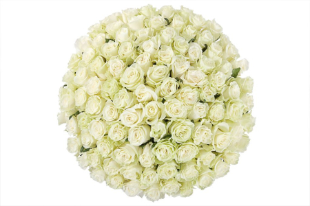 Букет 101 роза Мондиаль в шляпной коробке