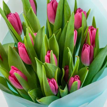 Букет 15 тюльпанов в белой бумаге, малиновые