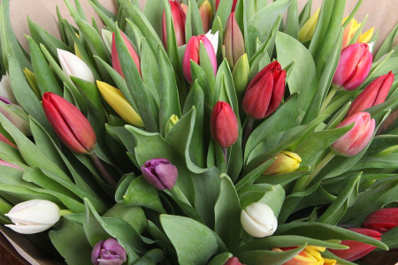 Букет 75 тюльпанов в крафтовой бумаге, микс