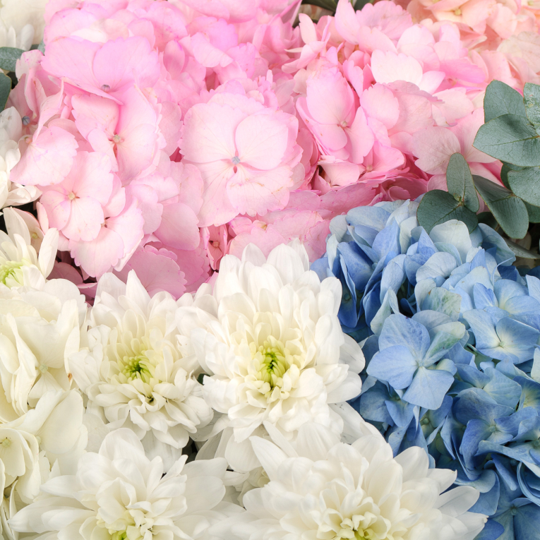 Букет Вам и не снилось