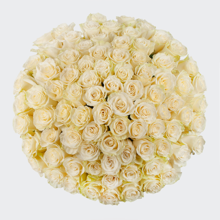 Букет 75 роз Мондиаль (Эквадор), 60 см