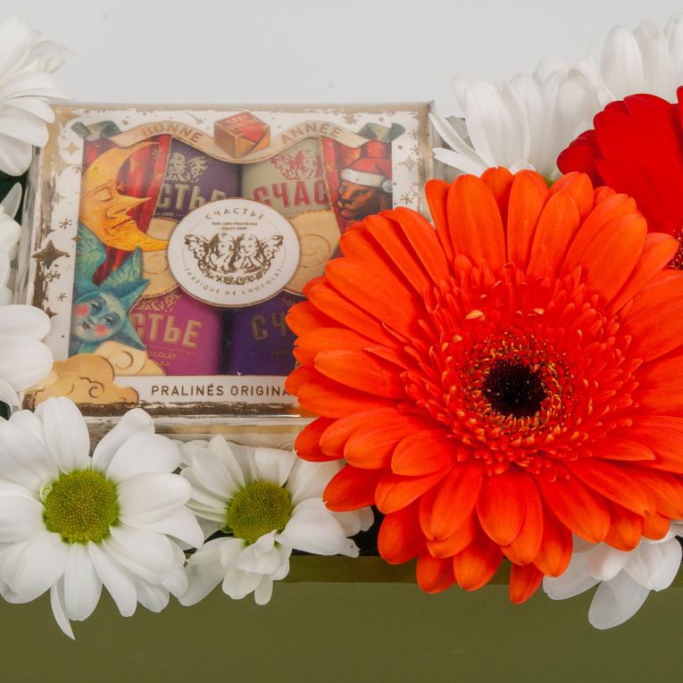 Композиция в кашпо Разноцветная любовь