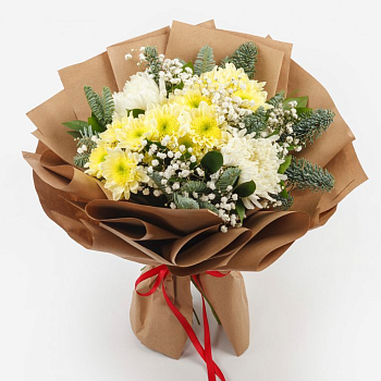 Букет Мороз и солнце