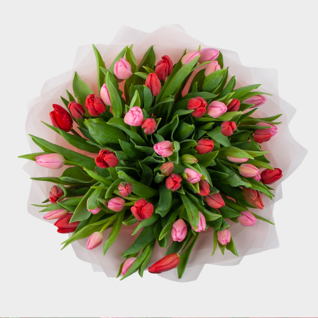 Букет 51 тюльпан Весенняя нежность