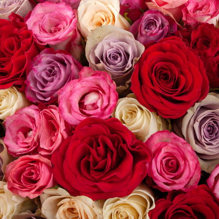 Букет из 101 розы Любовный цветник