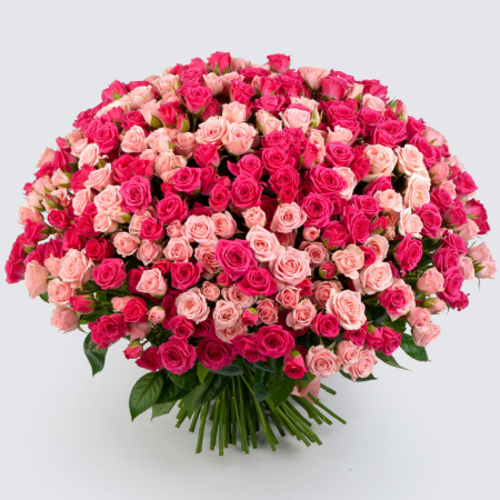 Букет из 101 розы Розовая Венера