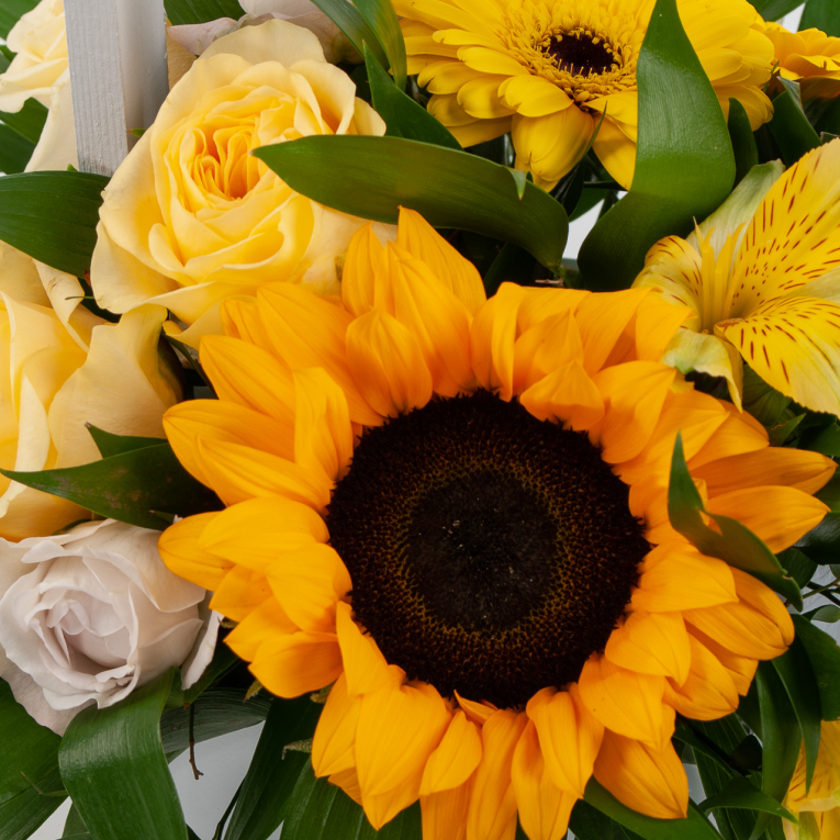 Букет в кашпо Солнце на ладони