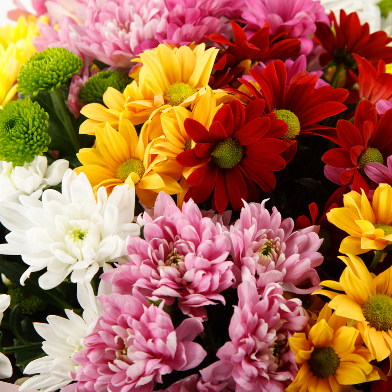 Букет из 21 кустовой хризантемы микс