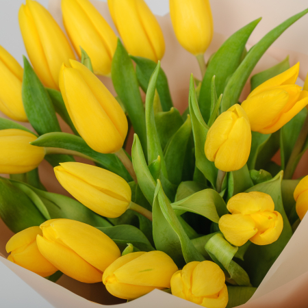Букет 19 желтых тюльпанов