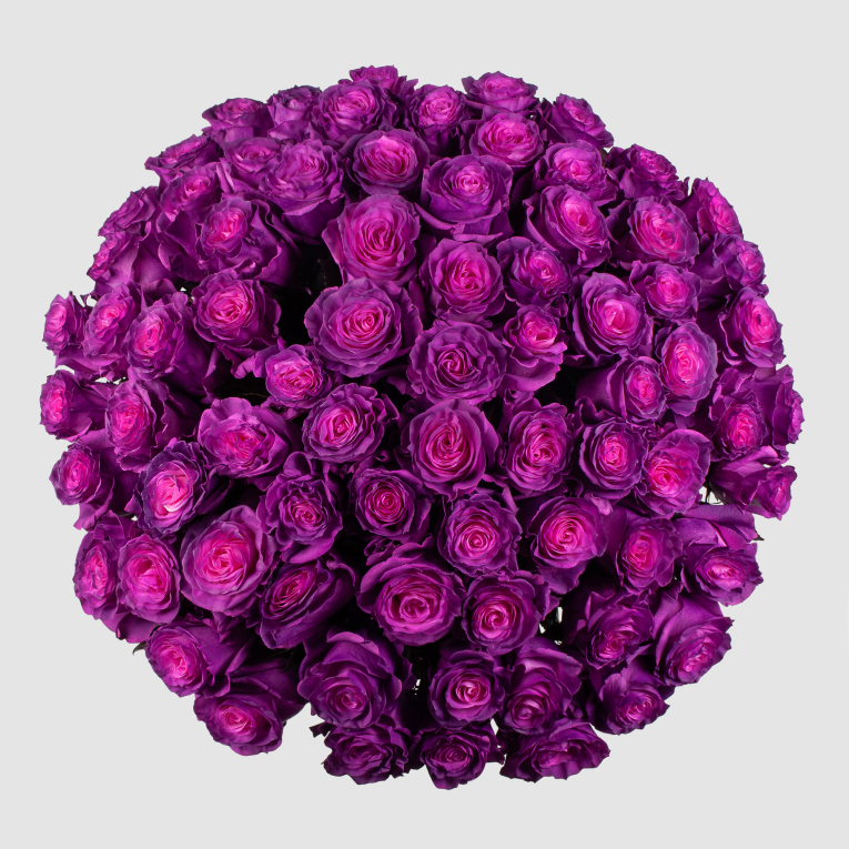 Букет 75 роз Лунный рассвет