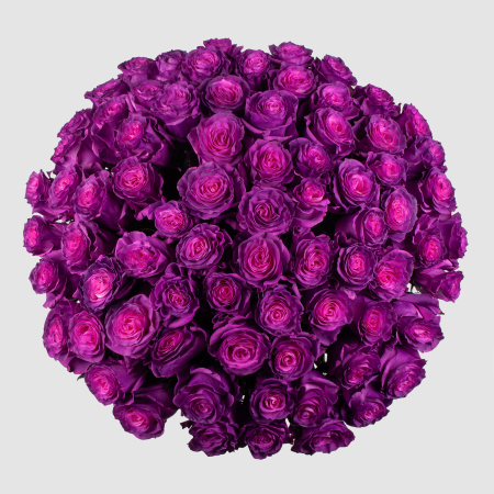 Букет 75 роз Лунный рассвет