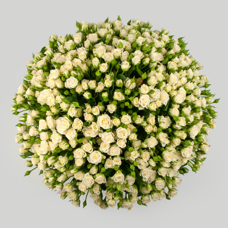 Букет 101 кустовая роза Сноуфлейк