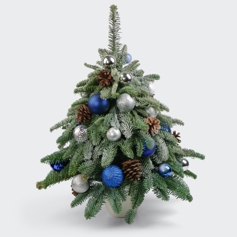 Композиция Чародейка