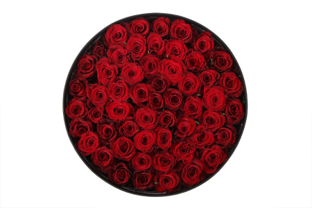 Букет 55 роз Ред Париж в шляпной коробке