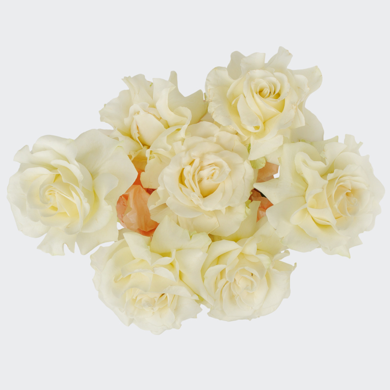 Букет в коробке Тихая река (7 роз)