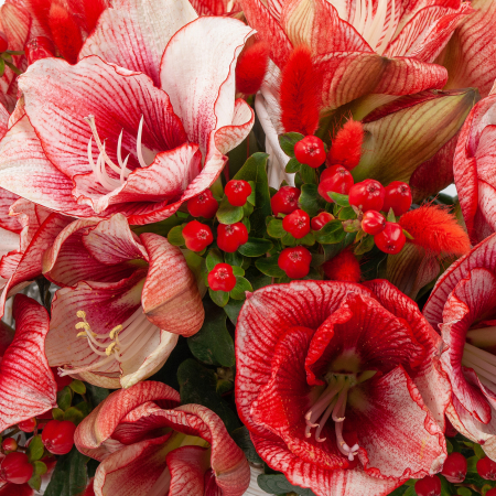 Букет в корзине Алое сияние