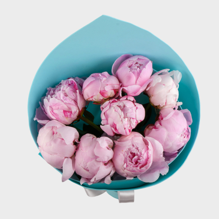 Букет из 9 пионов Светлые чувства