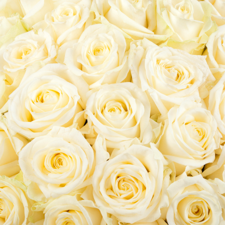 Букет в розовой коробке Нежное сердце (151 роза)