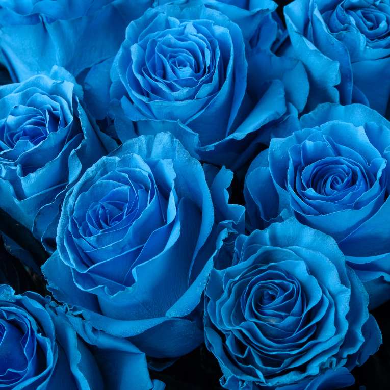 Букет 35 роз Поцелуй Мальвины