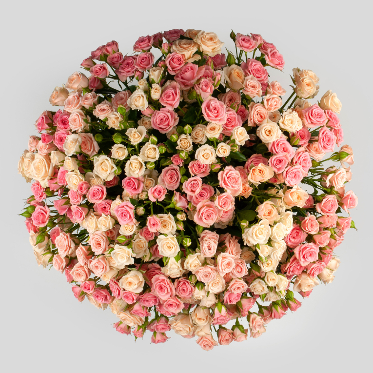 Букет 51 кустовой розы Сладкая нега