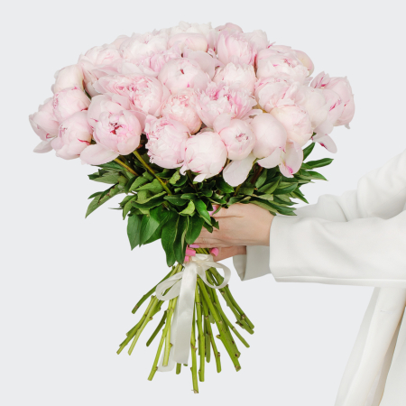 Букет из пионов 35 комплиментов