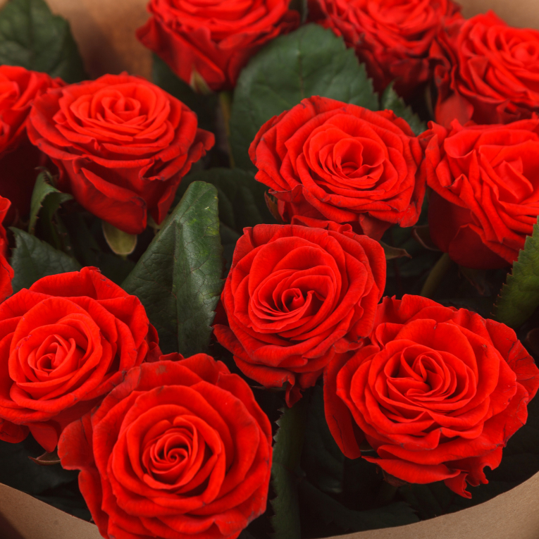 Букет из 15 роз Одной тебе