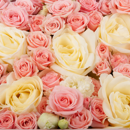 Розы в коробке Персиковое конфетти