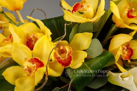 Букет Безымянная звезда