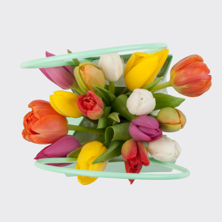 Тюльпаны в коробке Мятное настроение (мини)