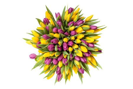 Букет 101 тюльпан, желто-фиолетовые