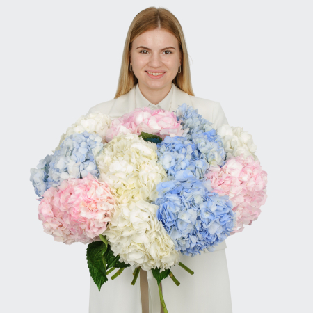 Букет 11 гортензий Цветочные облака