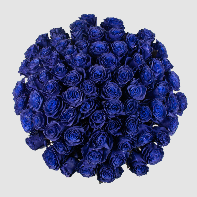 Букет 75 роз Синее озеро