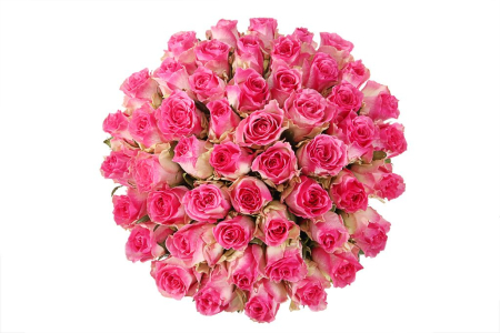 Букет 51 роза Малибу в шляпной коробке