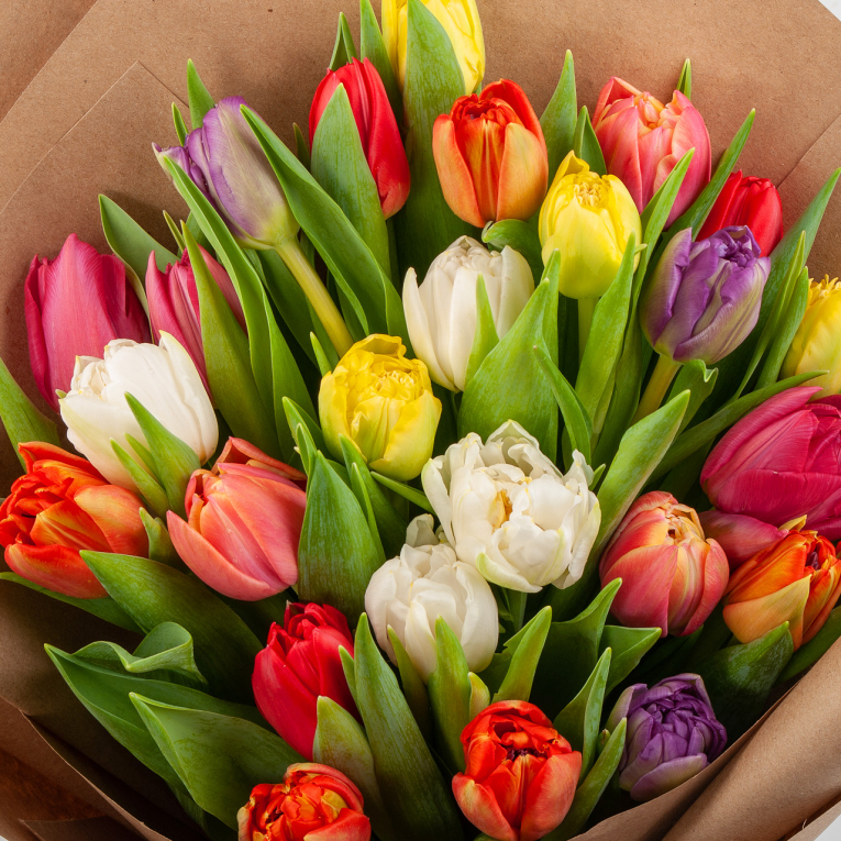 Букет из 25 тюльпанов Апрель