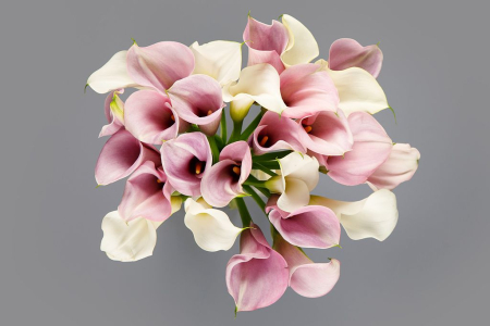 Букет из калл Ноктюрн