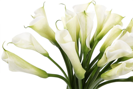 Букет Белые ночи