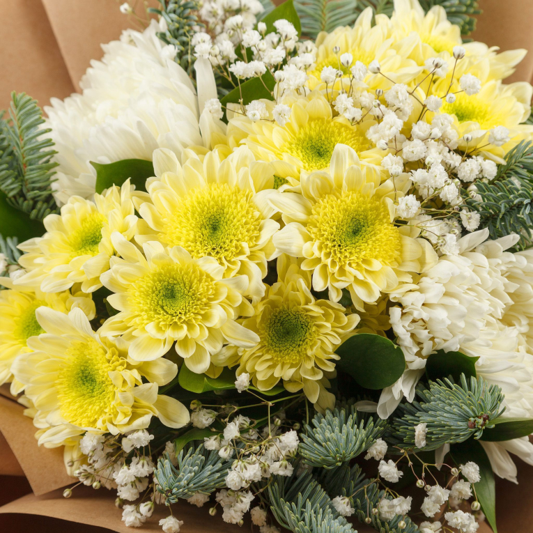 Букет Мороз и солнце