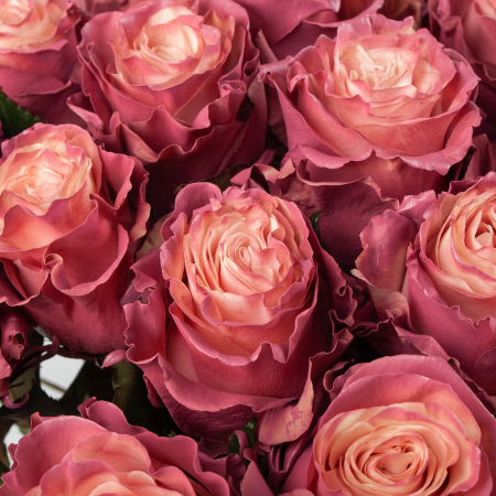 Букет 25 роз Кипение чувств