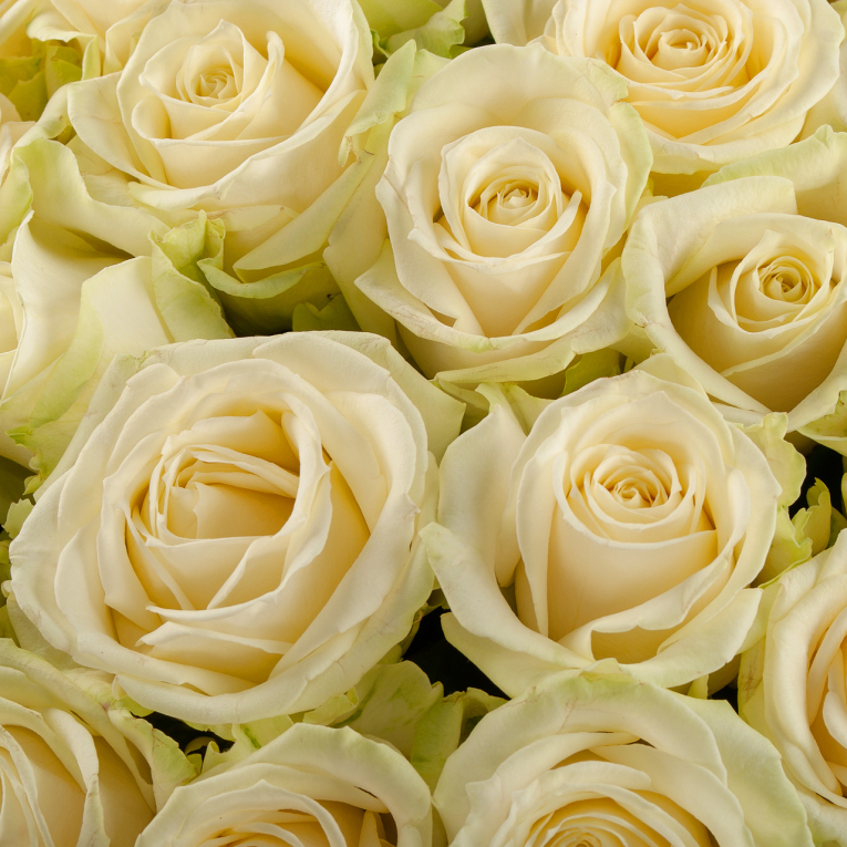 Букет из 101 розы Восторг любви