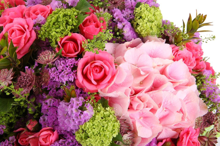 Букет Шесть дней, семь ночей