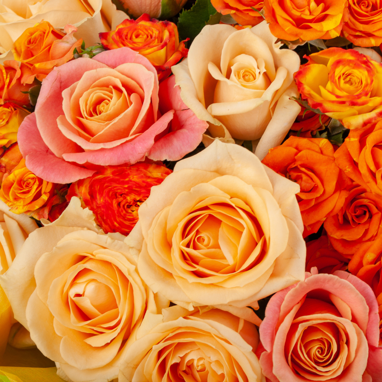 Букет из роз Сладкий поцелуй