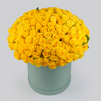 Букет в коробке Золотая карета (151 роза)