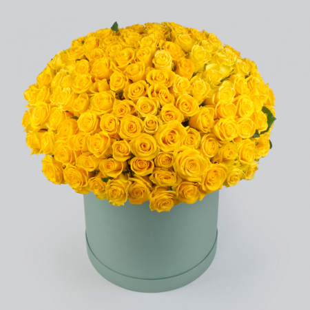 Букет в коробке Золотая карета (151 роза)