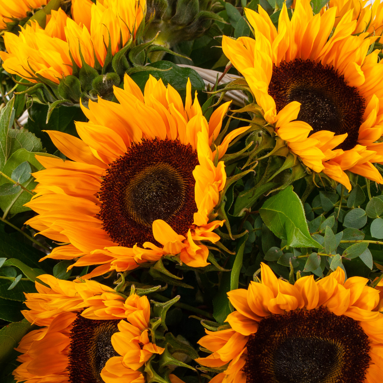 Букет в корзине Летняя лирика